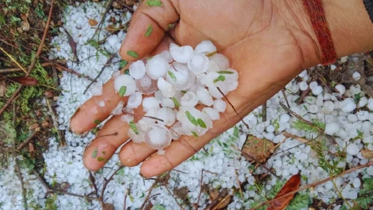 Crop Protection From Hailstorm 