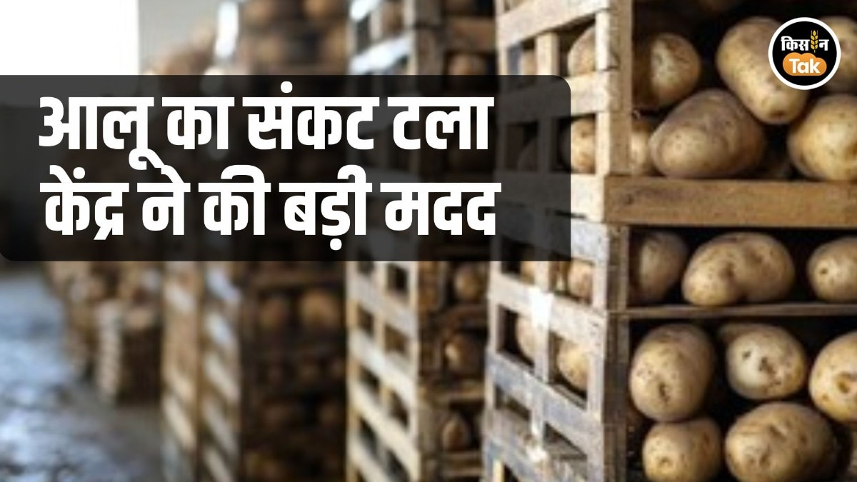 Potato Storage Ammonina Supply Issue Resolved