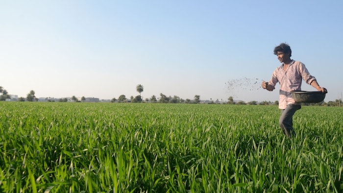 महंगी खाद से परेशान किसान