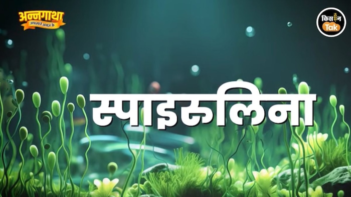 ब्लू-ग्रीन एल्गी का कमाल