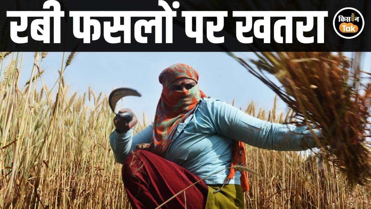 Western Disturbance India