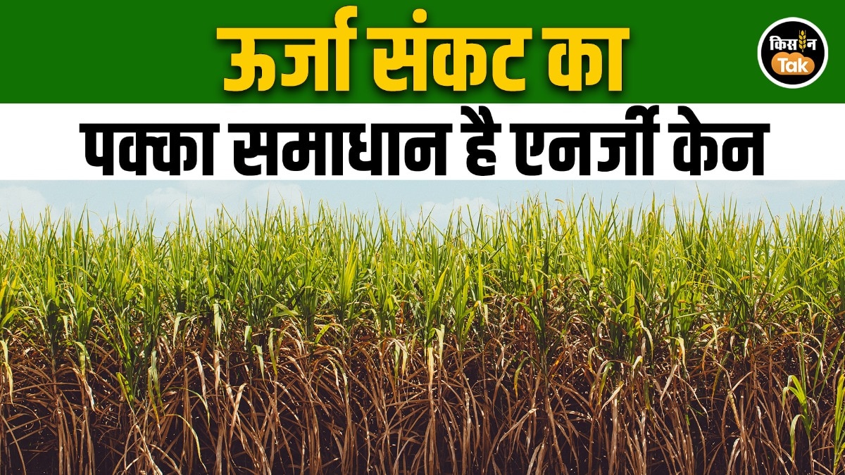 iran war impact India