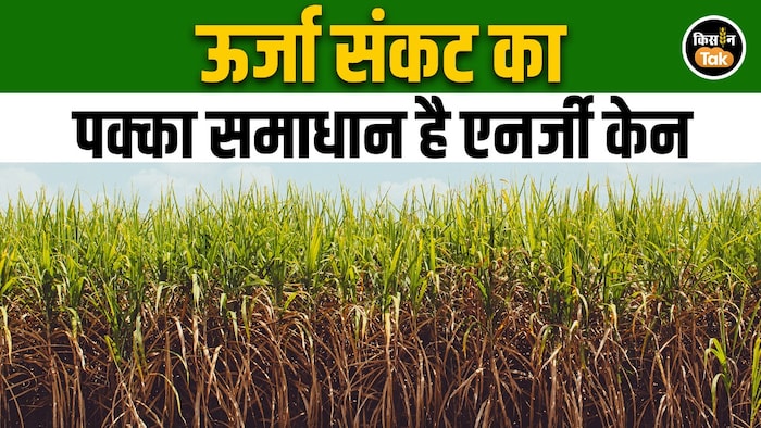 iran war impact India