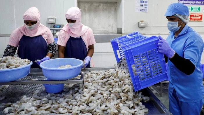 China Japan Seafood Export