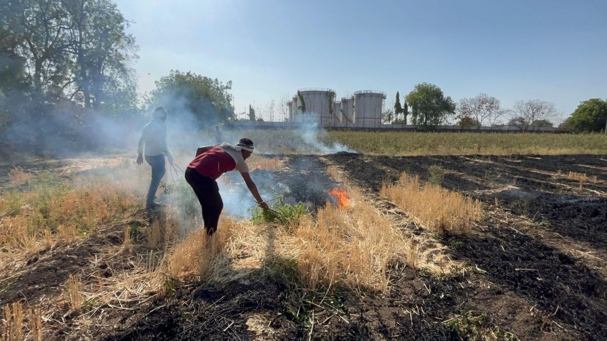 गेहूं के खेत में भीषण आग