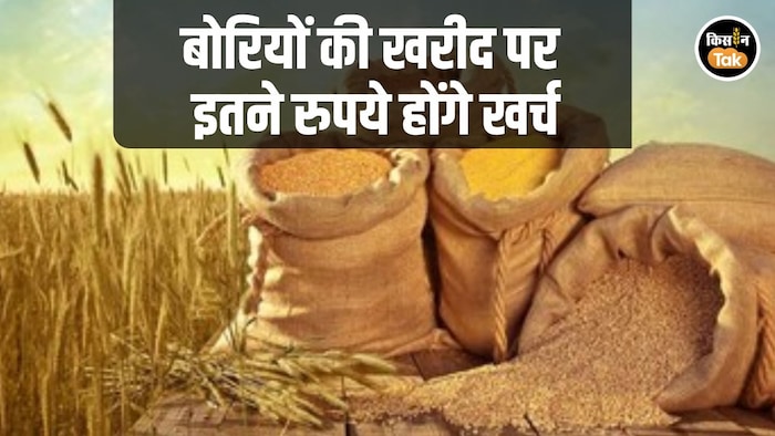 Gehu Bori Kharid Haryana