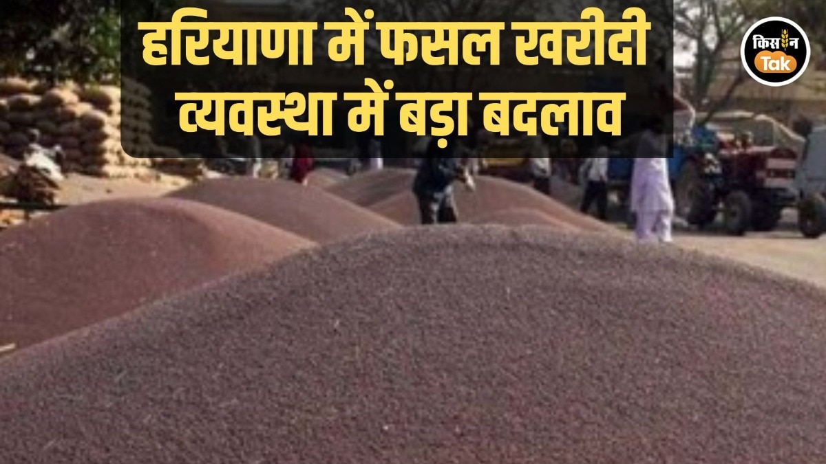 haryana Crop Procurement System change