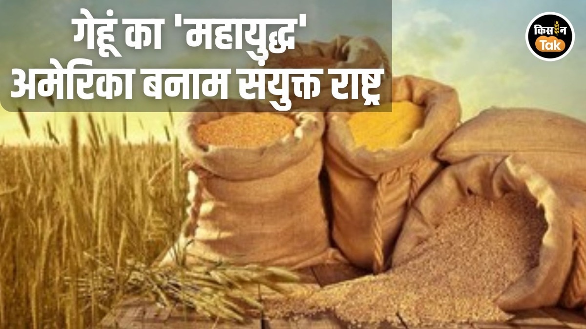 Wheat Production USDA vs FAO