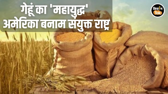 Wheat Production USDA vs FAO