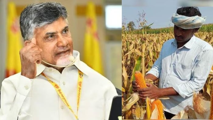 मुख्यमंत्री एन. चंद्रबाबू नायडू