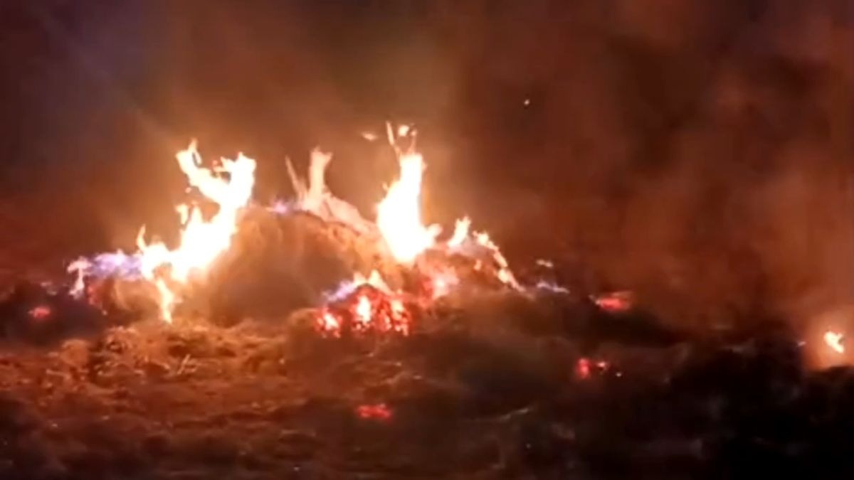 किसान की फसल को दबंगों ने लगाई आग