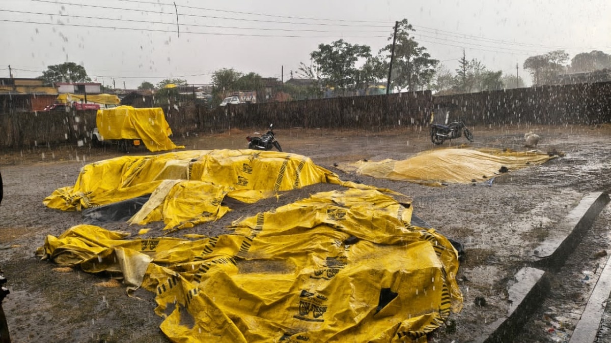 Amravati rain crop loss