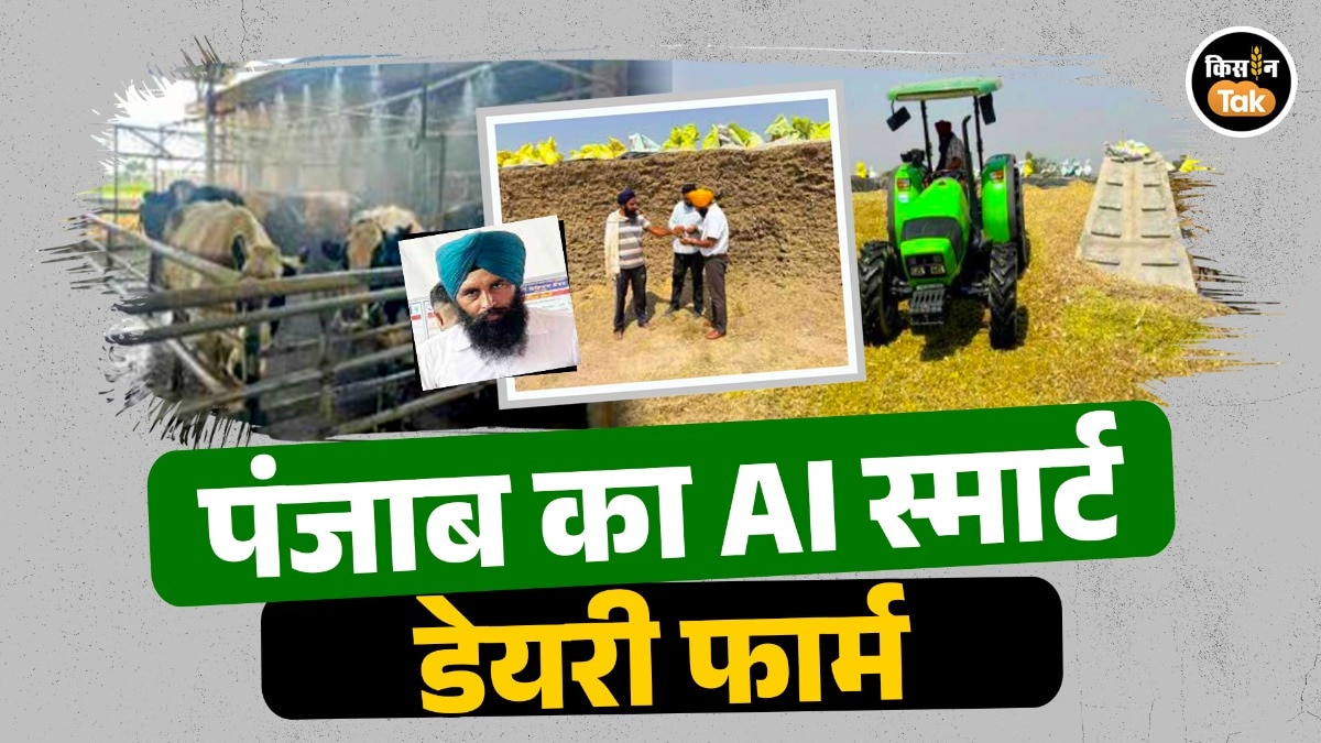 punjab ai smart dairy farm