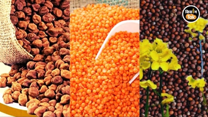 उत्तर प्रदेश में रबी फसलों की खरीद का लक्ष्य जारी