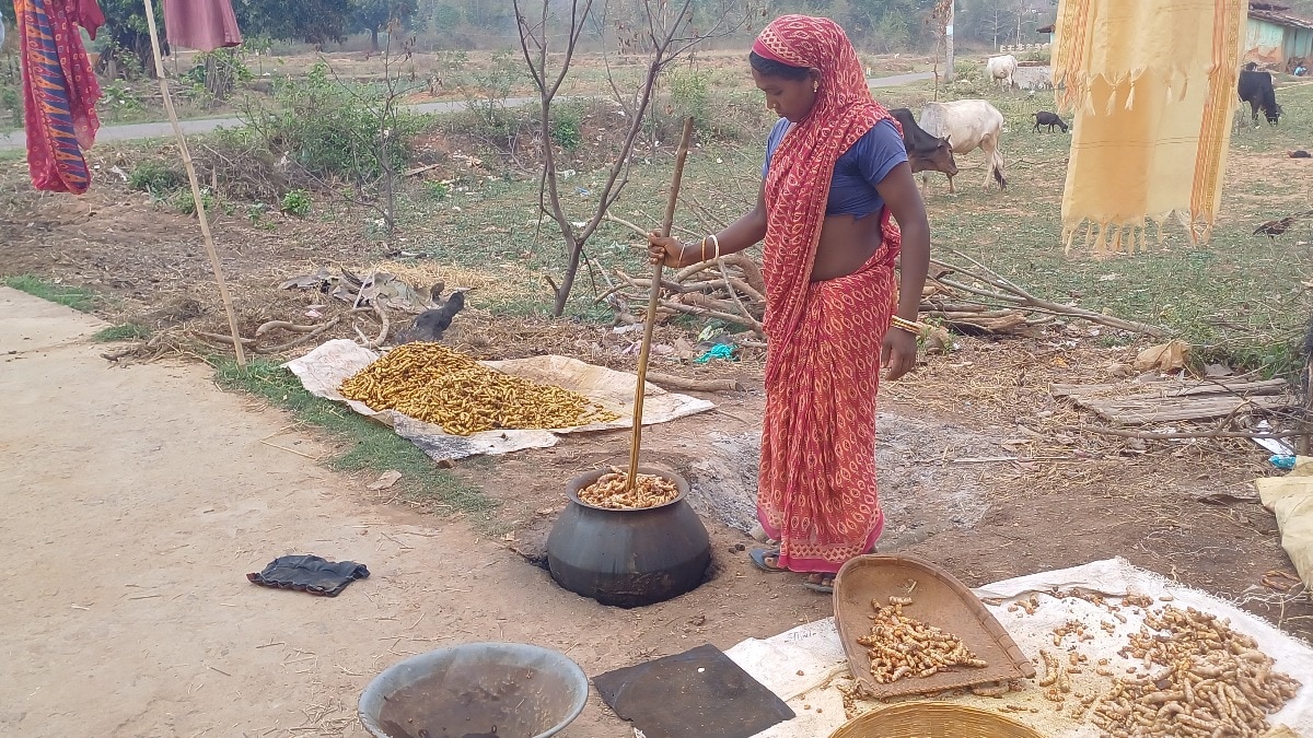 organic turmeric India