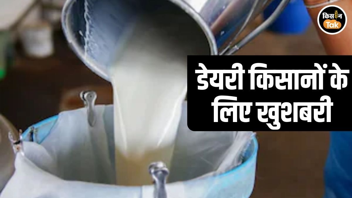 Punjab Milk Procurement Rate Hike
