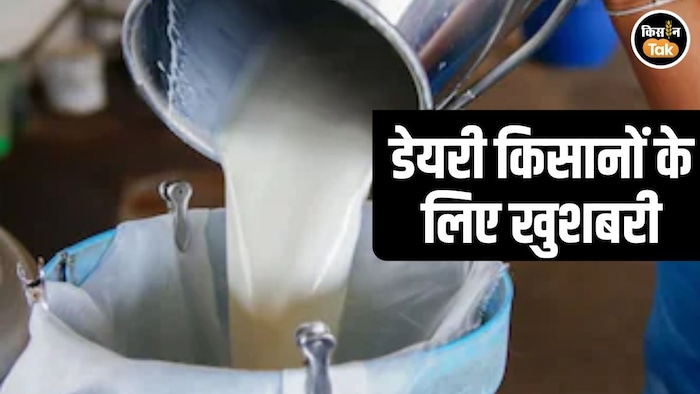 Punjab Milk Procurement Rate Hike
