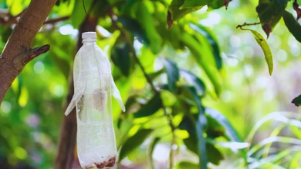 प्लास्टिक की रद्दी बोतलें