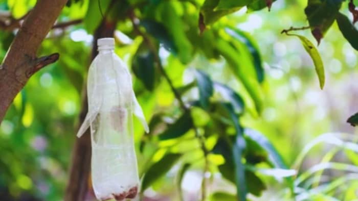 प्लास्टिक की रद्दी बोतलें