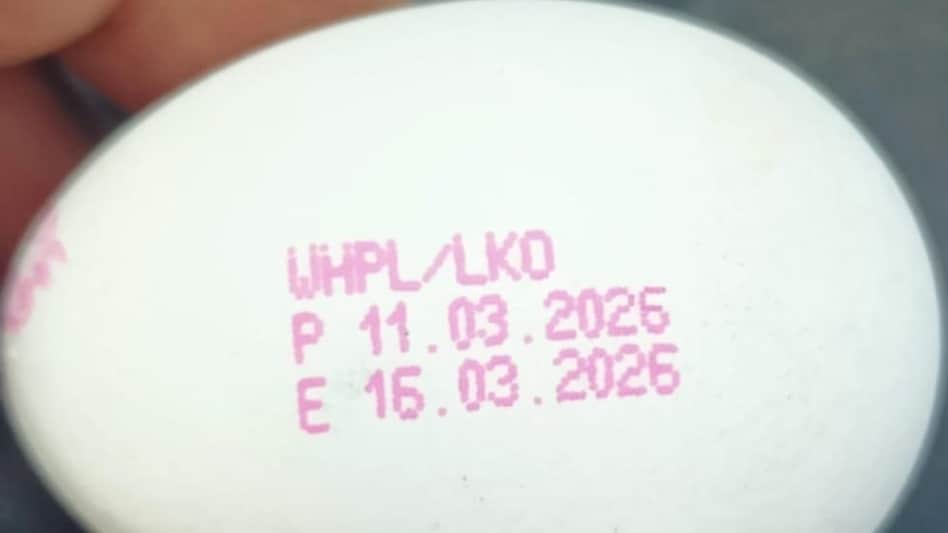 Egg Expiry: अंडे की एक्सपायरी प्रिंट करने पर NECC ने कही ये बड़ी बात, पढ़ें CEO का इंटरव्यू Egg Expiry: अंडे की एक्सपायरी प्रिंट करने पर NECC ने कही ये बड़ी बात, पढ़ें CEO का इंटरव्यू