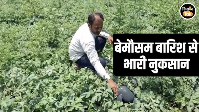 Jalna Crop Loss