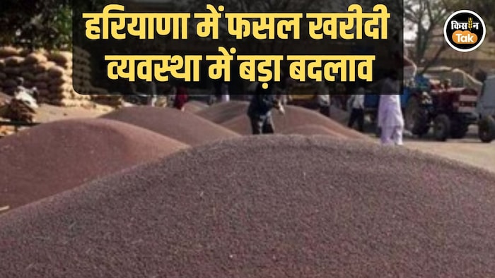 haryana Crop Procurement System change