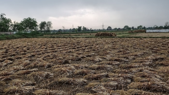 Dholpur rain hailstorm