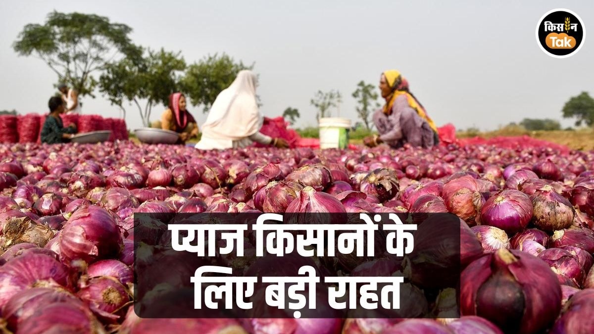 Onion Price: प्याज किसानों को राहत देने की तैयारी, भारत सरकार ने बुलाई बड़ी बैठक