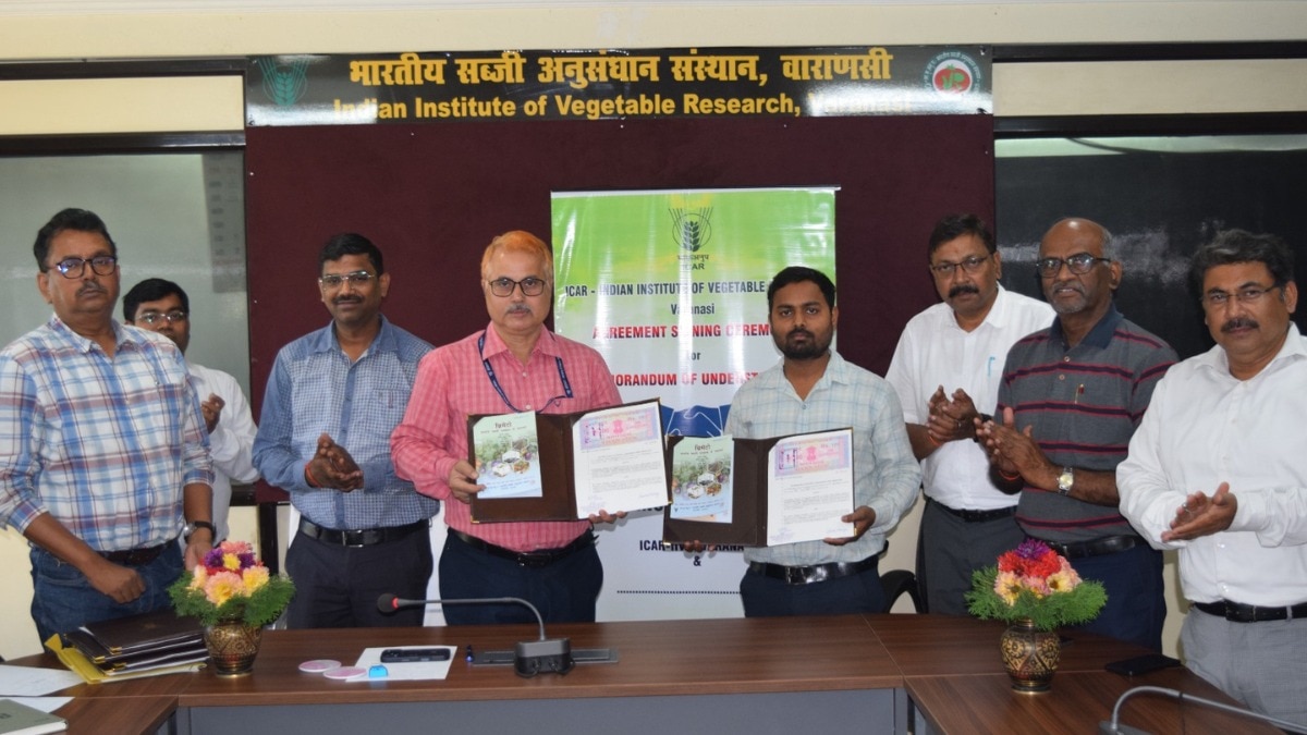 iivr varanasi, vegetable varieties, crop production, varanasi news, farmer news, vegetables farming, up news, agriculture news, vegetables seeds 