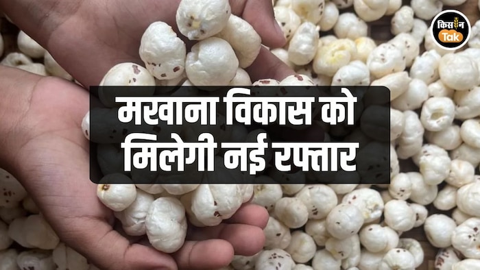 Makhana Development Scheme