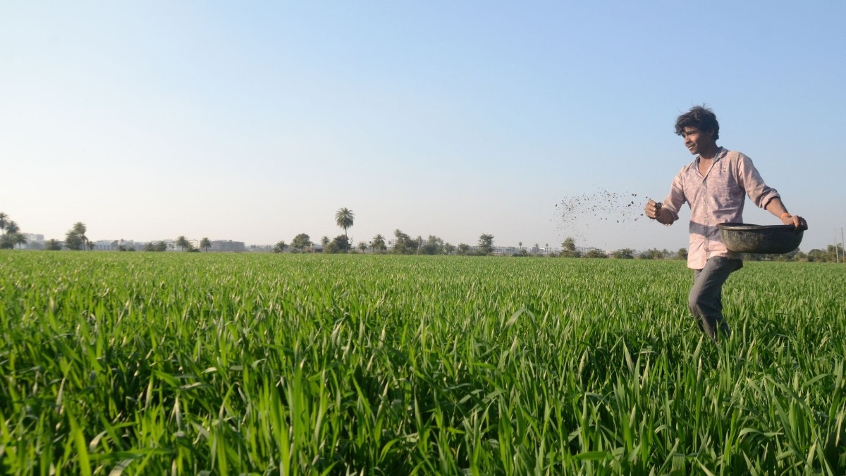 यूपी में खाद की कोई कमी नहीं