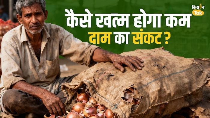 Onion production and price crisis