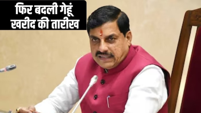 Wheat Procurement MP