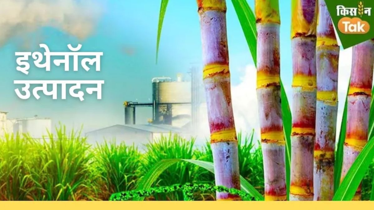 Ethanol Production Sugarcane FRP and Sugar MSP Issue 