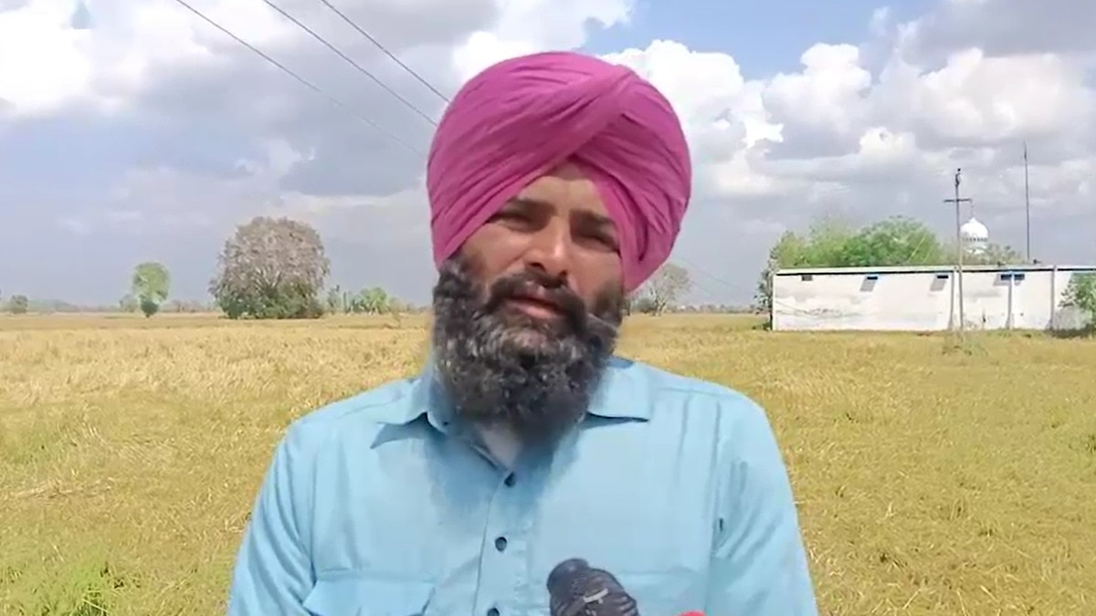 punjab crop loss