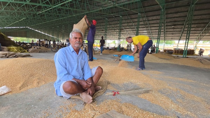 कम दाम पर गेहूं बेचने को मजबूर किसान