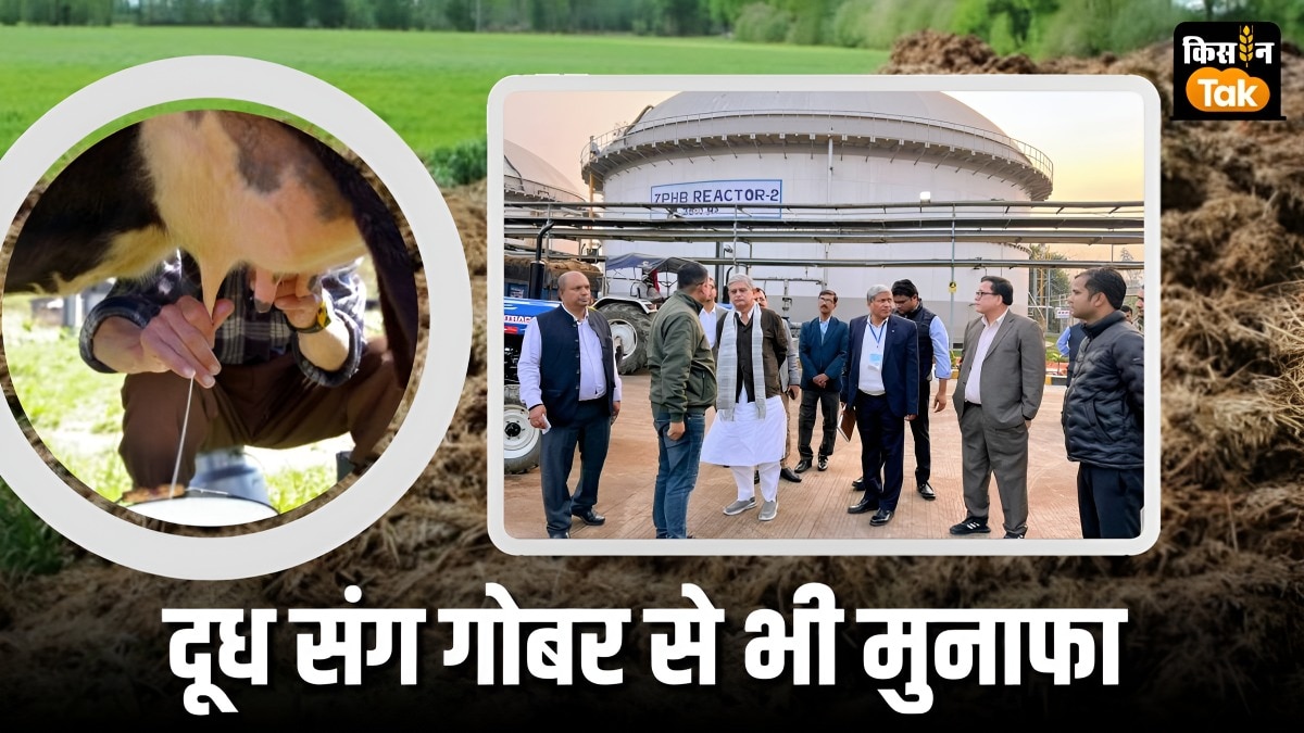 Biogas Plant: गैस-बिजली की भीषण किल्लत में भी नहीं रुकेगी दूध की सप्लाई, जानें कैसे 