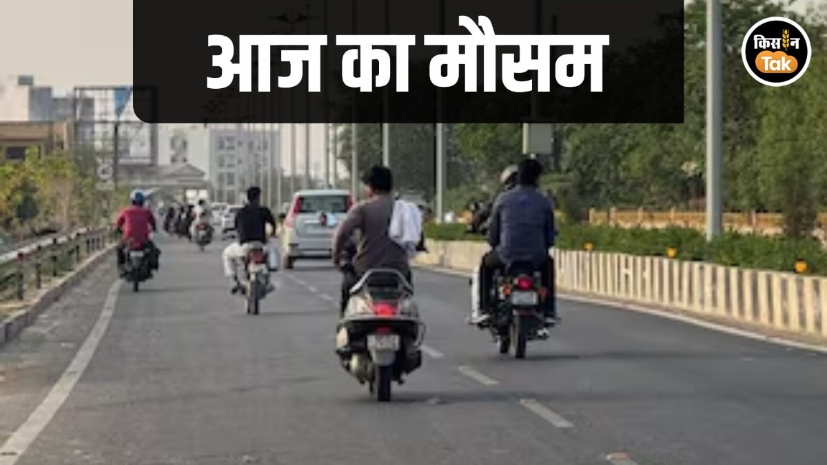 Weather News: अब दिखेगा गर्मी का असर! हफ्तेभर में इतना बढ़ेगा तापमान, पढ़ें फुल वेदर अपडेट