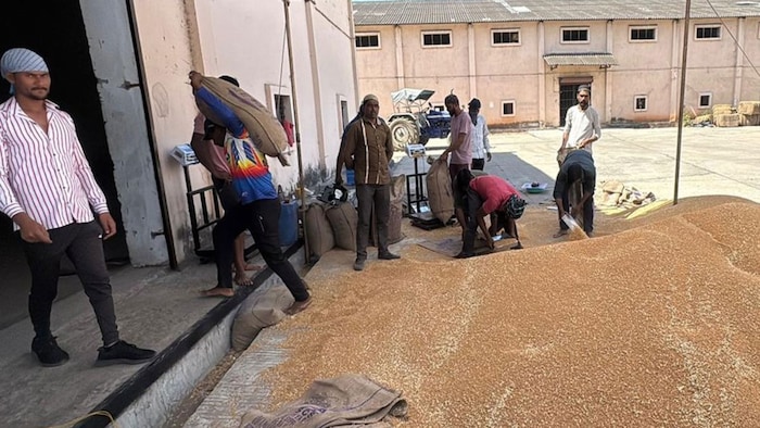 Wheat Procurement Centre BHopal