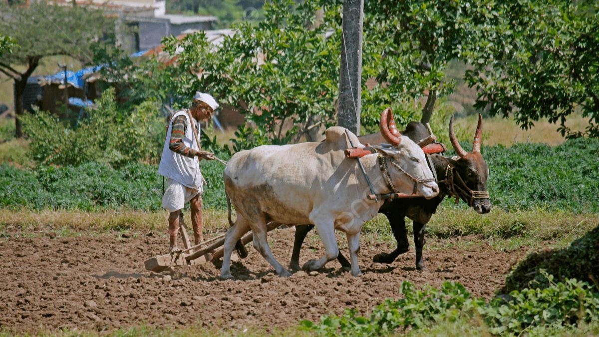 कृषि रोडमैप