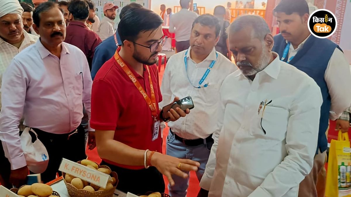 आलू की खेती