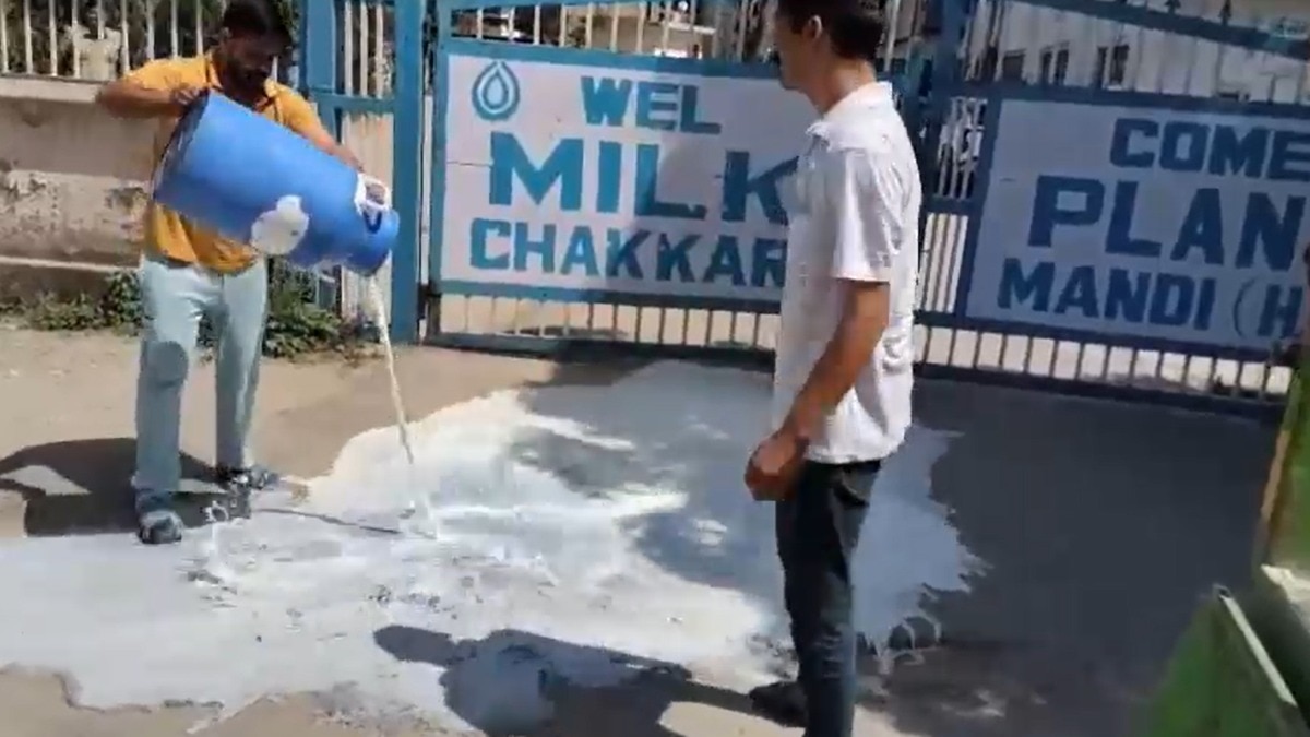 हिमाचल में मिल्क प्लांट के बाहर 1200 लीटर दूध बहाया, खरीद से इनकार पर भड़के पशुपालक