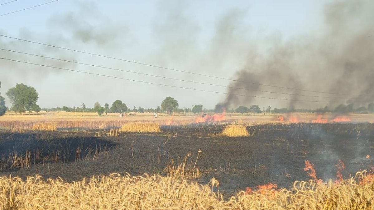 UP के इन जिलों में आग से सैकड़ों बीघा गेहूं जलकर राख, किसानों ने की मुआवजे की मांग