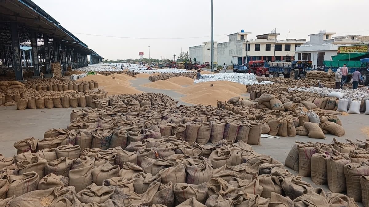 अनाज मंडी में औचक निरीक्षण