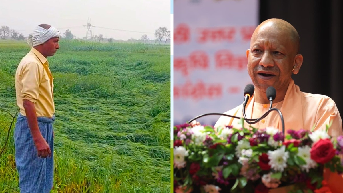 yogi government release 46.28 crore rupees to farmers affected by unseasonal rain and hailstorm in up