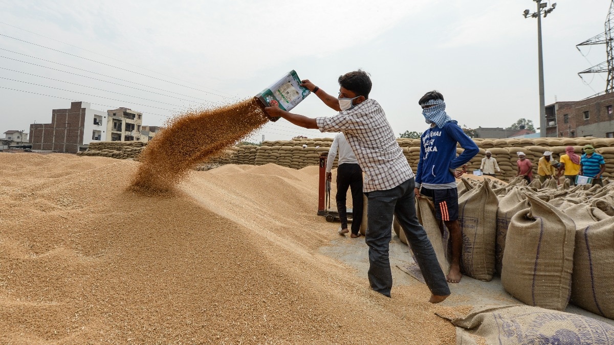 मध्य प्रदेश में गेहूं खरीद तेज