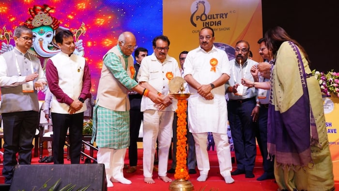 uttar pradesh will become number one egg production state in country with major investment in poultry sector