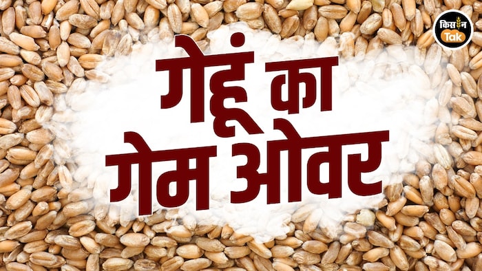 Wheat price below MSP India