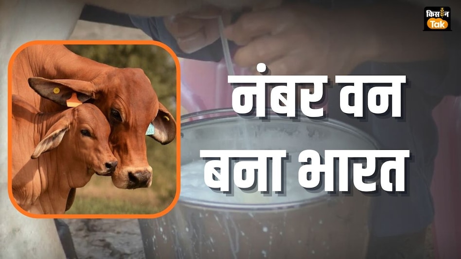 NLM Scheme: डेयरी-पशुपालन शुरू करने और छोटे से बड़ा करने में मददगार है NLM NLM Scheme: डेयरी-पशुपालन शुरू करने और छोटे से बड़ा करने में मददगार है NLM