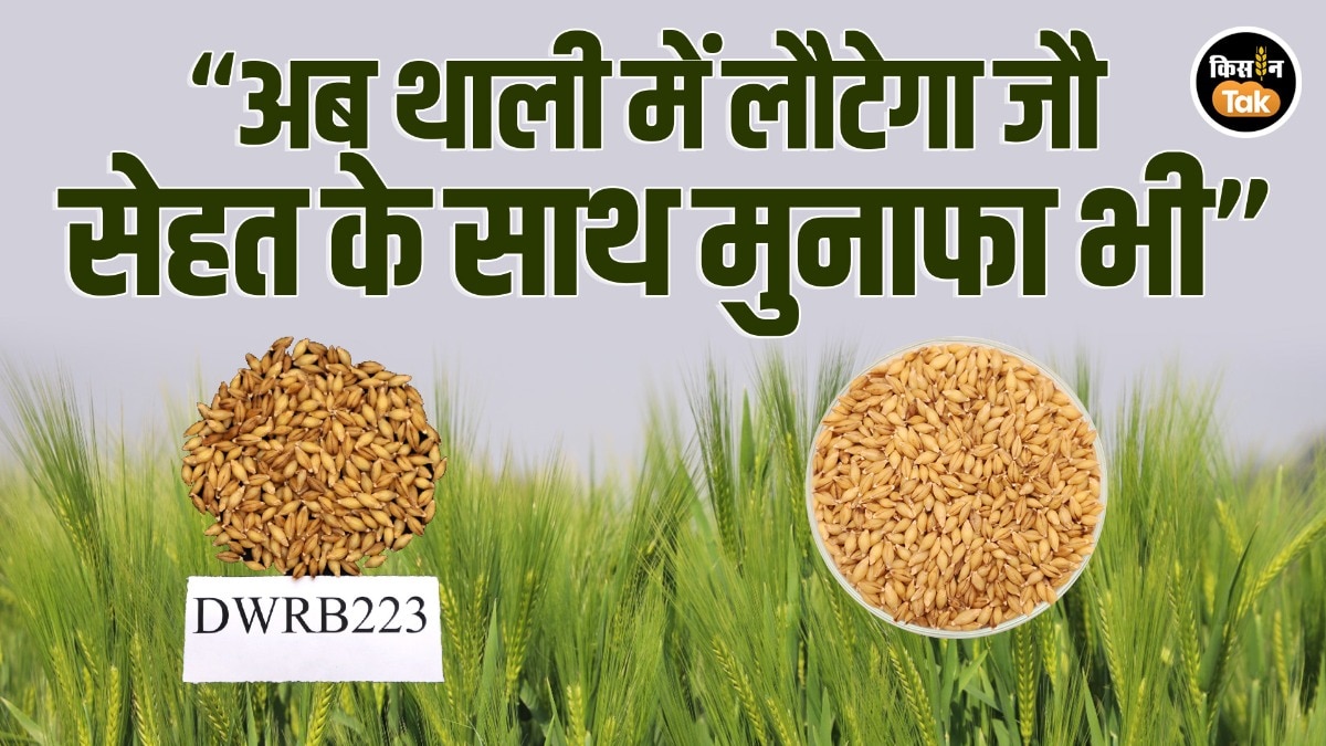 जौ की होगी घर वापसी